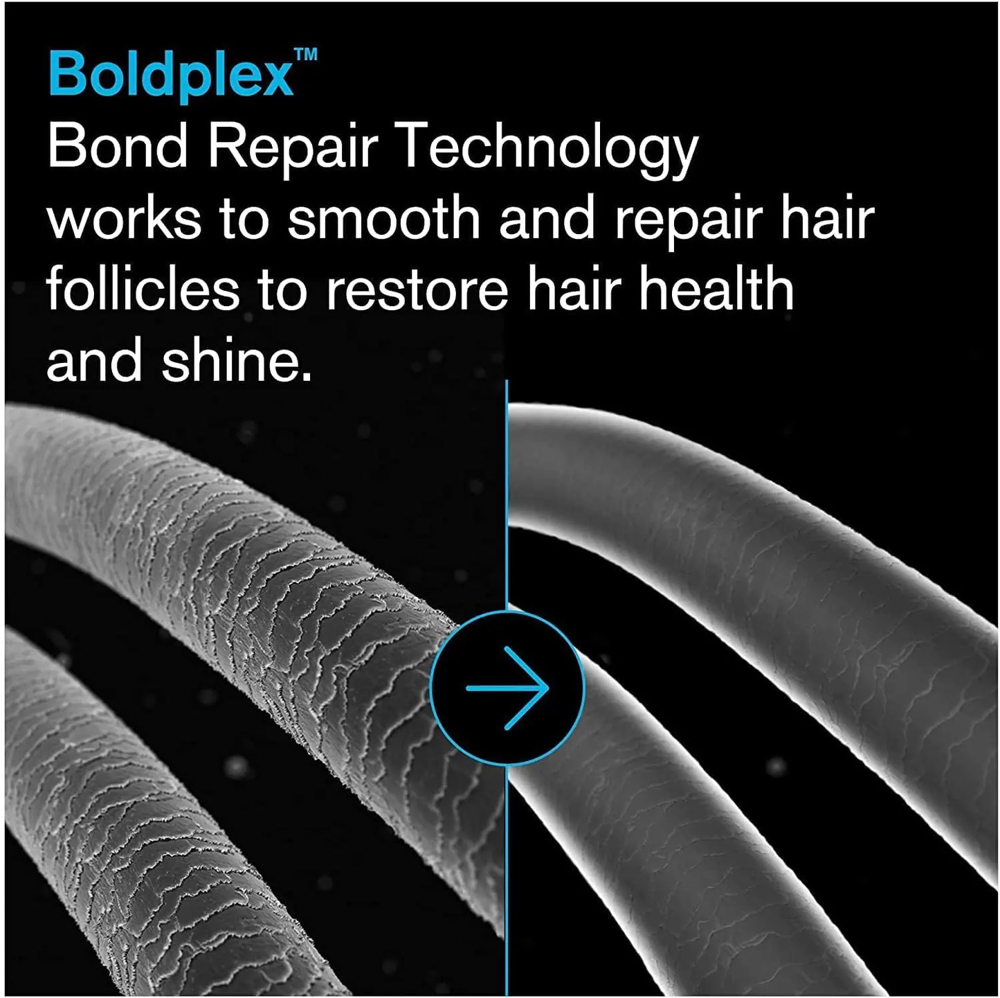 BoldPlex 3 Hair Mask - Deep Conditioner & Protein Treatment for Dry, Damaged Hair - Includes Rosemary Oil for Hair Growth - Repairs & Nourishes Curly, Bleached, or Frizzy Hair - 6.76 Fl Oz